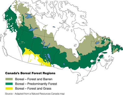 map of Canada's boreal forest regions