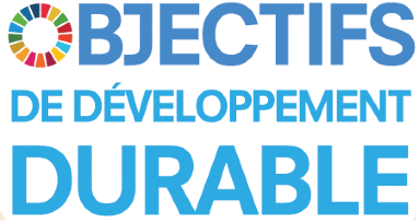 UN ODD - Logo