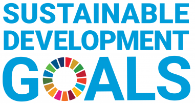 UN SDG - Logo